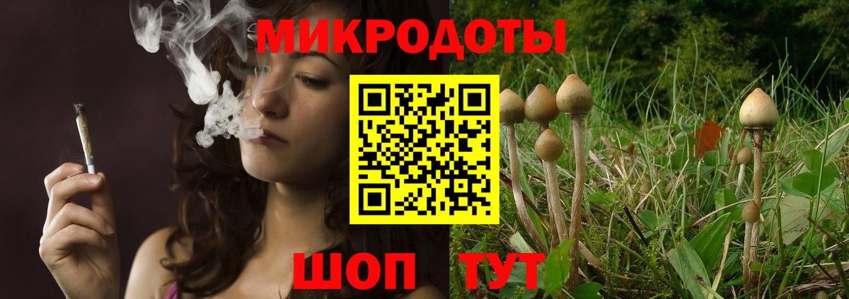 Псилоцибиновые грибы Cubensis  Вход с VPN  Рославль 